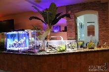 В Ужгороді відкрилася виставка мініатюрних акваріумів (ФОТО)