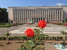 На площі Народній в Ужгороді висадили червоні троянди (ФОТО)