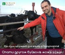 5  аргументів, щоб відвідати ферму буйволів на Закарпатті (ФОТО)