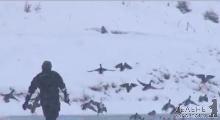 В Ужгороді рятувальники знову вирушали на звільнення качок з крижаного полону (ФОТО)