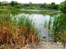 Озера «Кірпічки» в Ужгороді може не стати (ФОТО)
