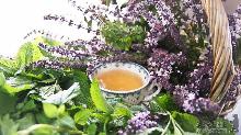  Літні рослинні дарунки: розслабляючі аромати та цілющі напитки