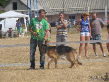 У Хусті відбулася виставка собак (ФОТО)