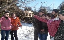 Школярі на Закарпатті виготовляють "хатинки" для пташок (ФОТО)