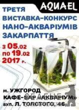В Ужгороді відбудеться 3-я виставка-конкурс мініатюрних акваріумів (ФОТО