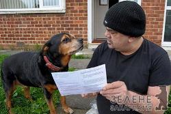 Собаку запросили голосувати на виборах до Європарламенту