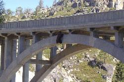 У Каліфорнії врятували застряглого на мосту ведмедя вагою 113 кг (ФОТО)