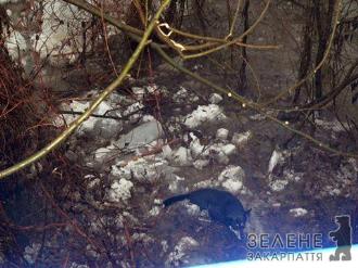 У Кольчині порятували собаку, який потрапив у льодову пастку під мостом (ФОТО)