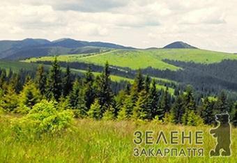 На Закарпатті схвалили розширення нацпарків "Синевир", "Зачарований край" та Ужанського