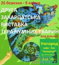 У неділю в Ужгороді відкриється Друга закарпатська виставка тераріумних тварин
